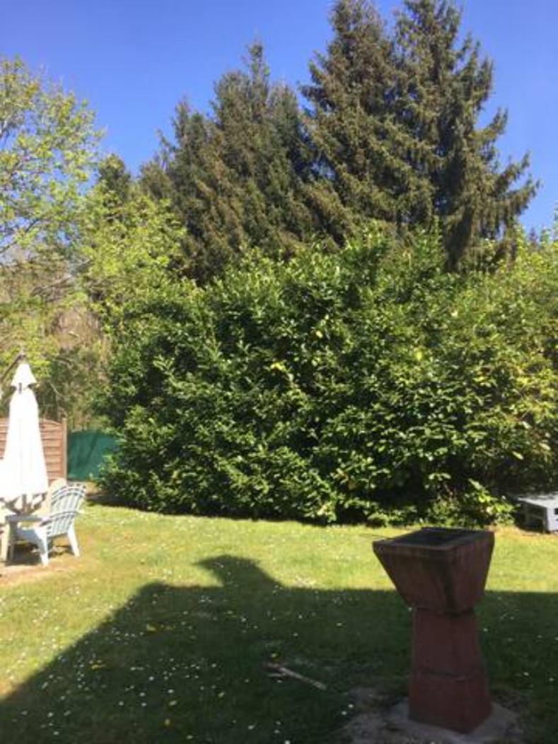 Gite Cosy Proche Fontainebleau Et Foret Noisy-sur-Ecole Екстер'єр фото