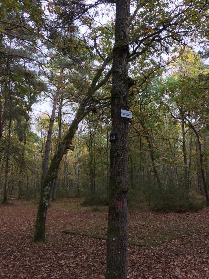 Gite Cosy Proche Fontainebleau Et Foret Noisy-sur-Ecole Екстер'єр фото